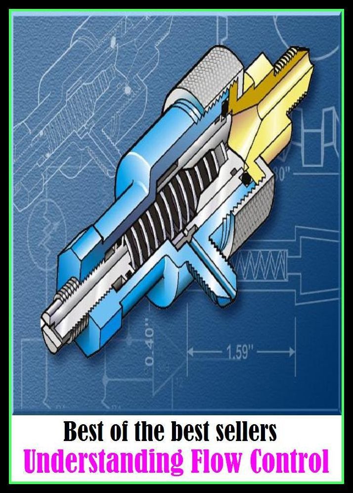 Best of the Best Sellers Understanding Flow Control (Masan, zombie, abate, wraith, abnegation, wizardry, abstinence, wit, action, whip hand)