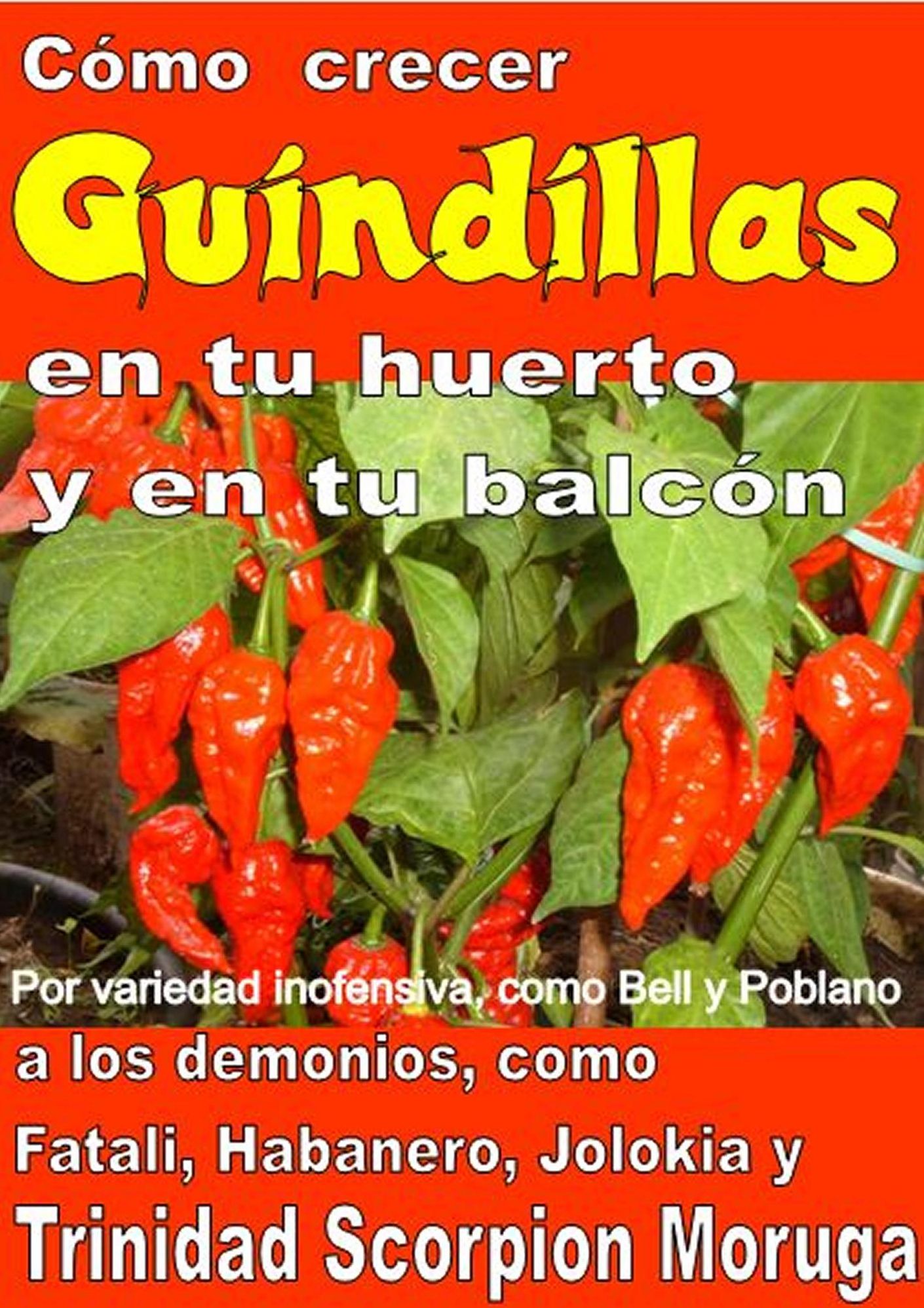 Como crecer guindillas en tu huerto y en tu balcón