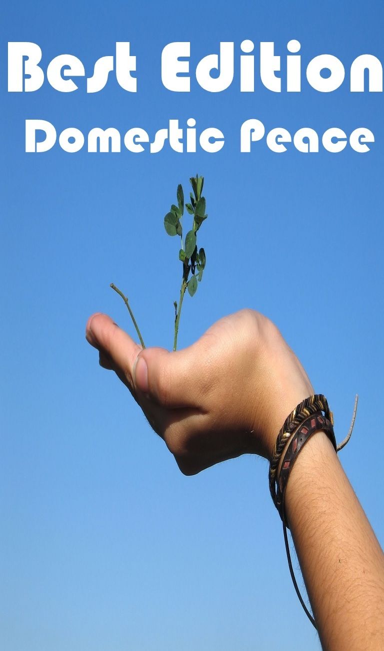 Best Edition Domestic Peace ( epic, fantasy, thriller, ethical, moral, logic comments, Mystery, romance, action, adventure, science fiction, drama, comedy, blackmail, humor classic, novel, literature, suspense )