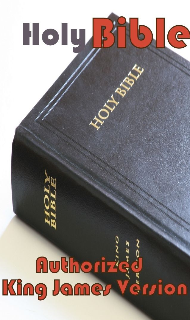 History: Best Seller Holy Bible Authorized King James Version ( rites, Mohammedan religion, The Holy Quran, illustrations, saints, spiritual religion, religious, bible, Lord, commandments, history, historical, teachings, budda, theology, preacher )