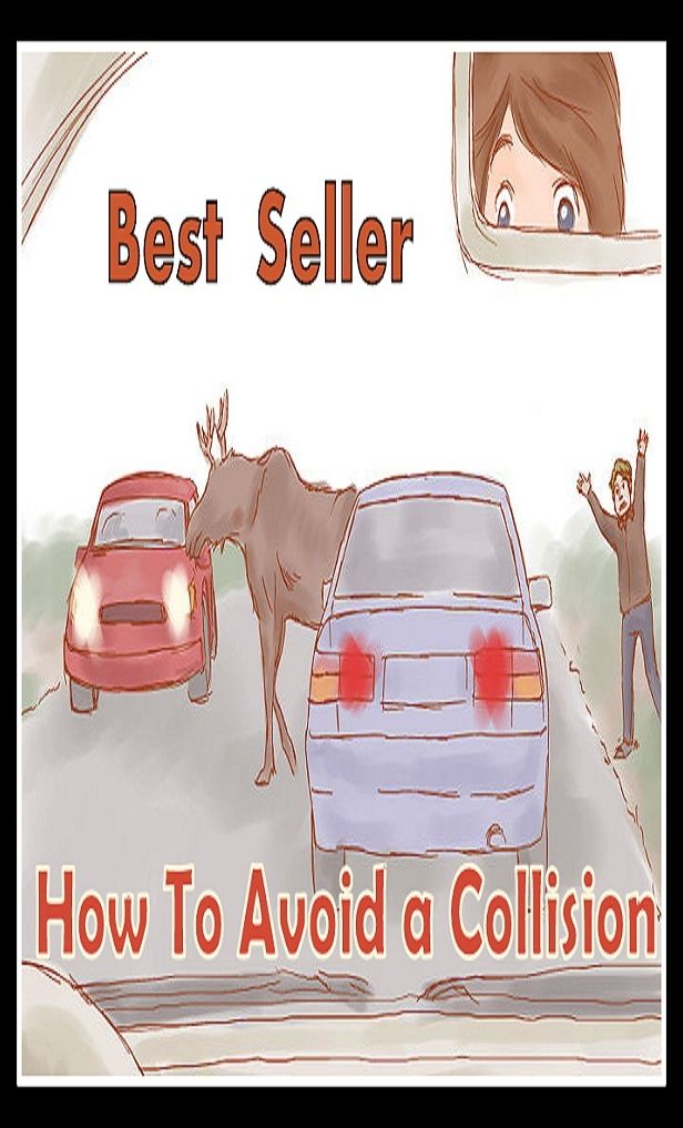 Best Seller How to Avoid a Collision ( collision, crash, smash, accident, impact, rear-ender, clash, conflict )
