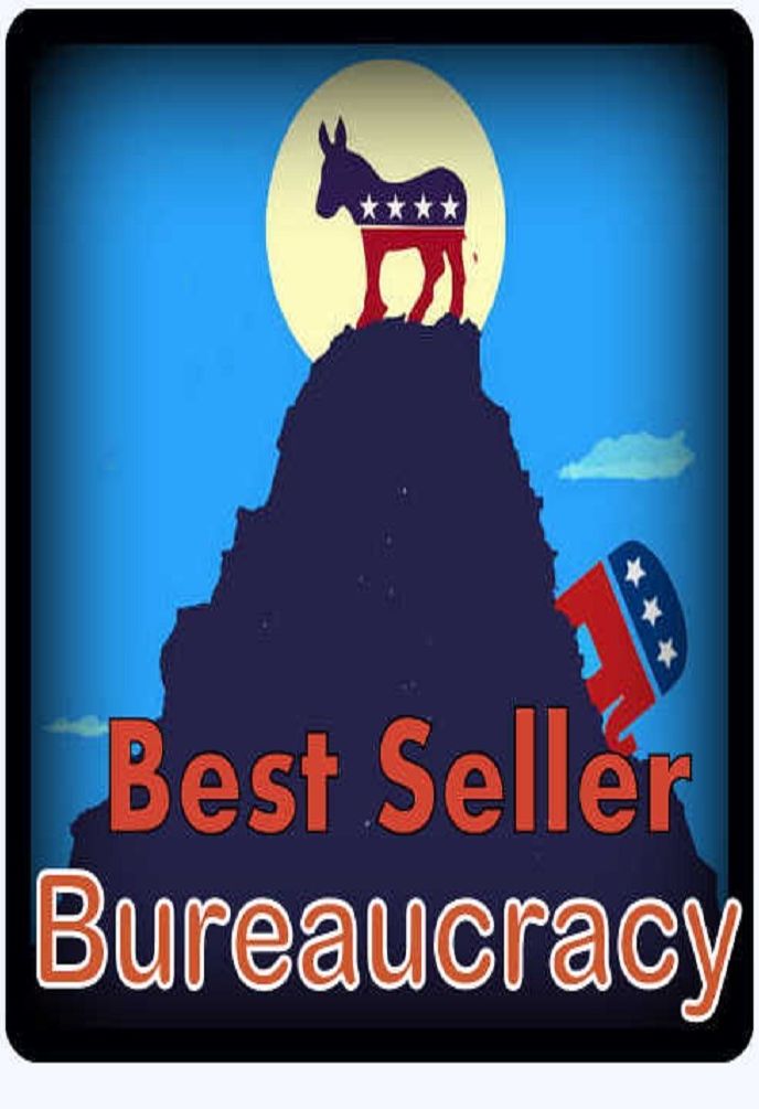 Best Seller Bureaucracy ( Bureaucracy , civil service, organization, system of government, government, administration, establishment, official procedure )