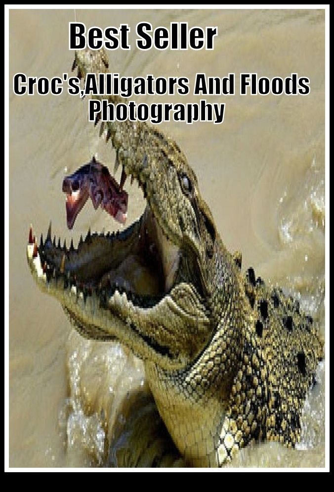 Nature: Croc