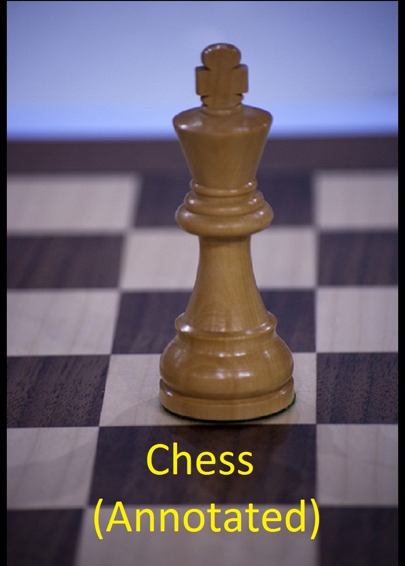 Best Sellers Chess (Annotated) ( Checkers, Chess, Board Games, Stragedy, fencing, lattice, fence, frame, game, play, online game, gaming jone, play station, play )