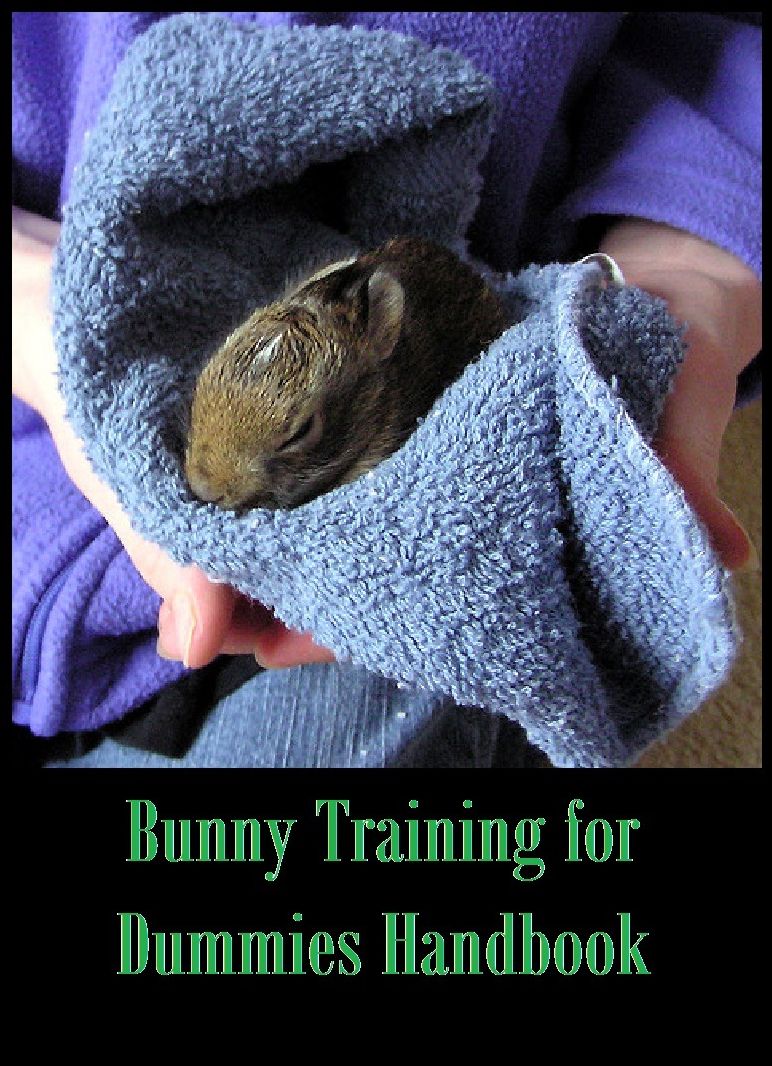 Best Sellers Bunny Training for Dummies ( nature Children, amazing animals, cutest animals, baby animals, wild, forest, beast, animals)