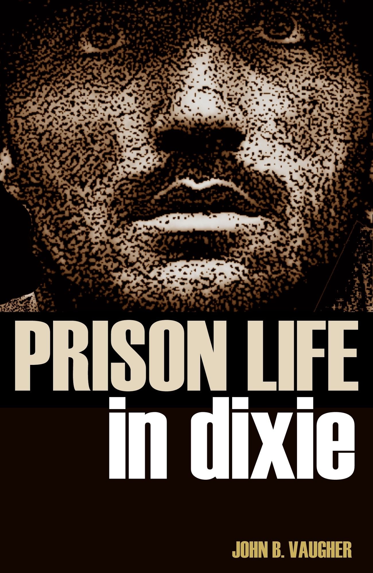 Prison Life in Dixie