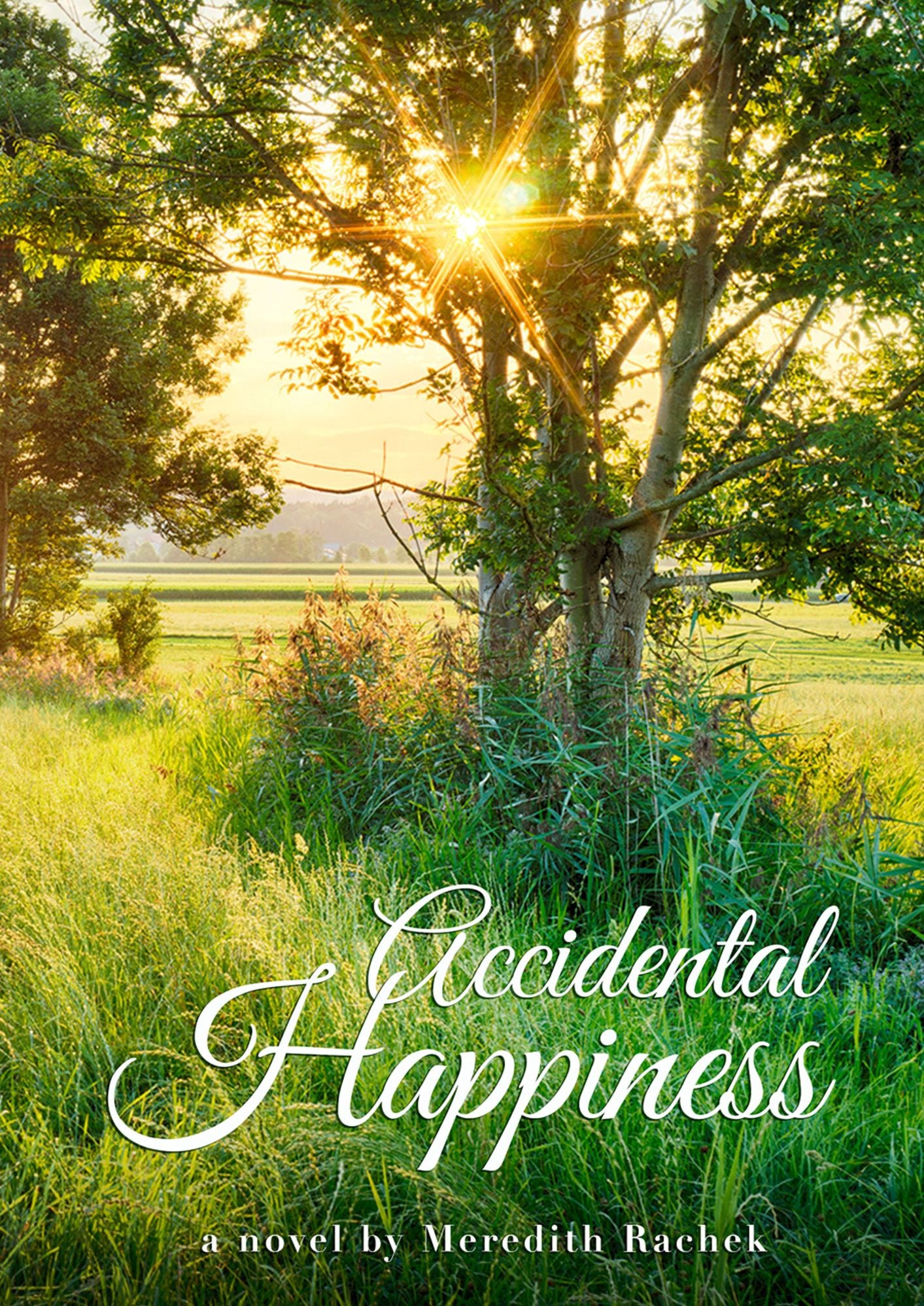 Accidental Happiness