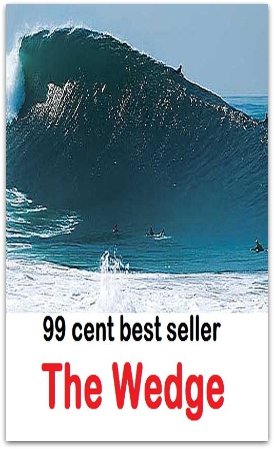 99 Cent best seller The Wedge ( wedge shape, submarine sandwich, poor boy, chock, sub, hoagie, hero, wedge heel, hacek, hero sandwich, grinder, zep, bomber, submarine, hoagy, wedge, torpedo, cuneus)