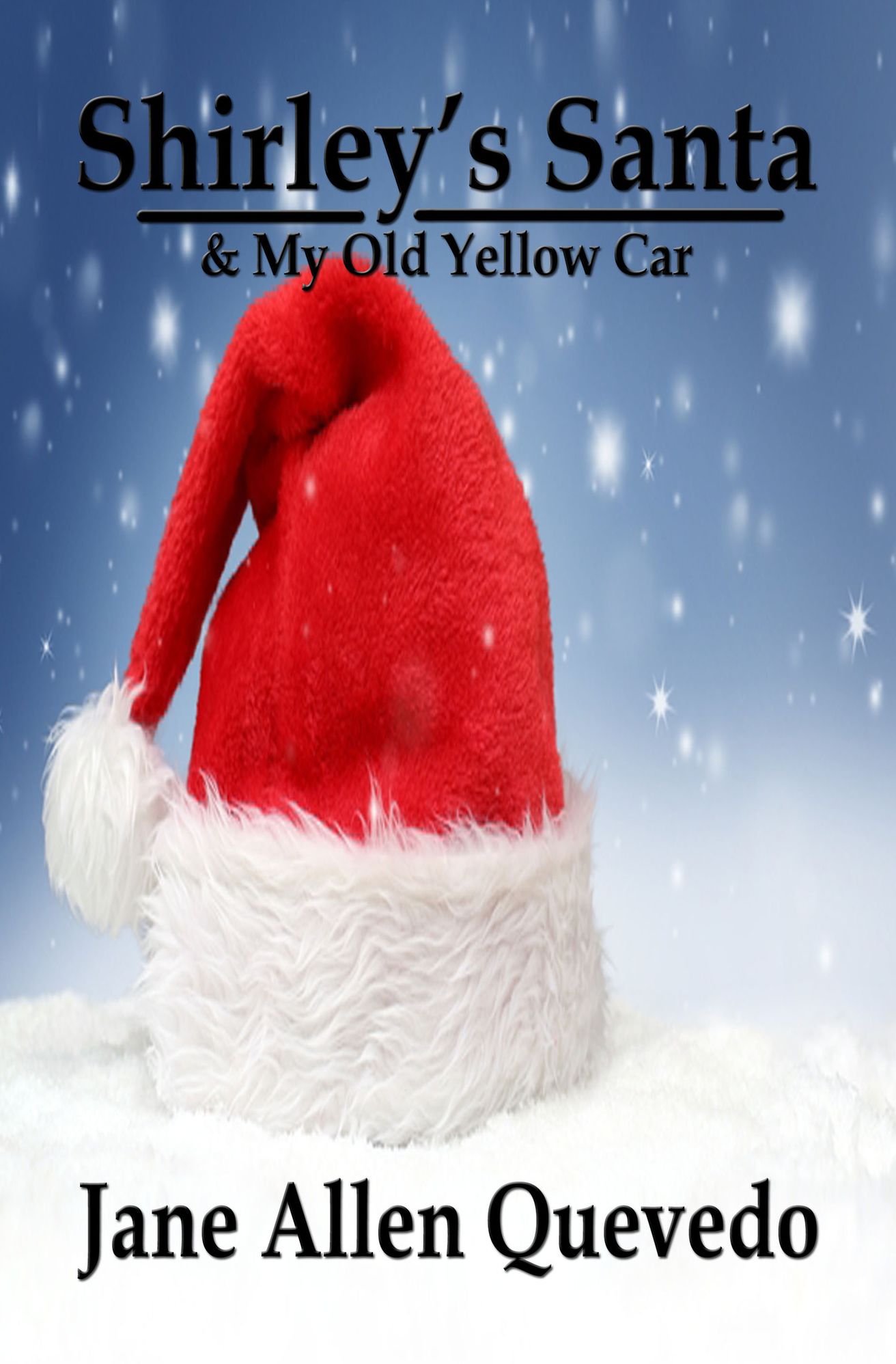 Shirley's Santa