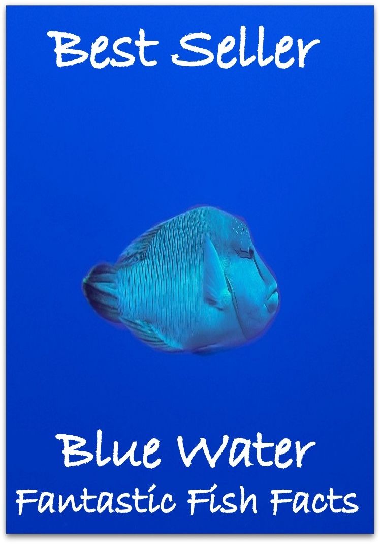 Best Sellers Bluewater Fantastic Fish Fact's & ; (Amazing Photography spiders , tarantula , sea, creature, sea world, underwater world, horse, wild, forest, beast, animals, elephant, photo, fish, wildlife, ocean, shark, octopus )