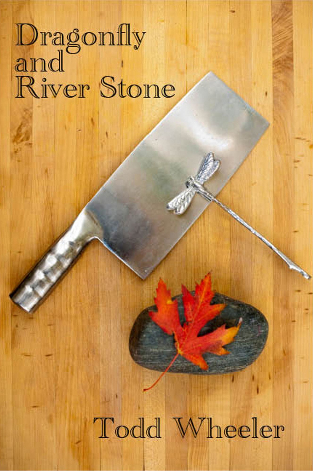 Dragonfly and River Stone