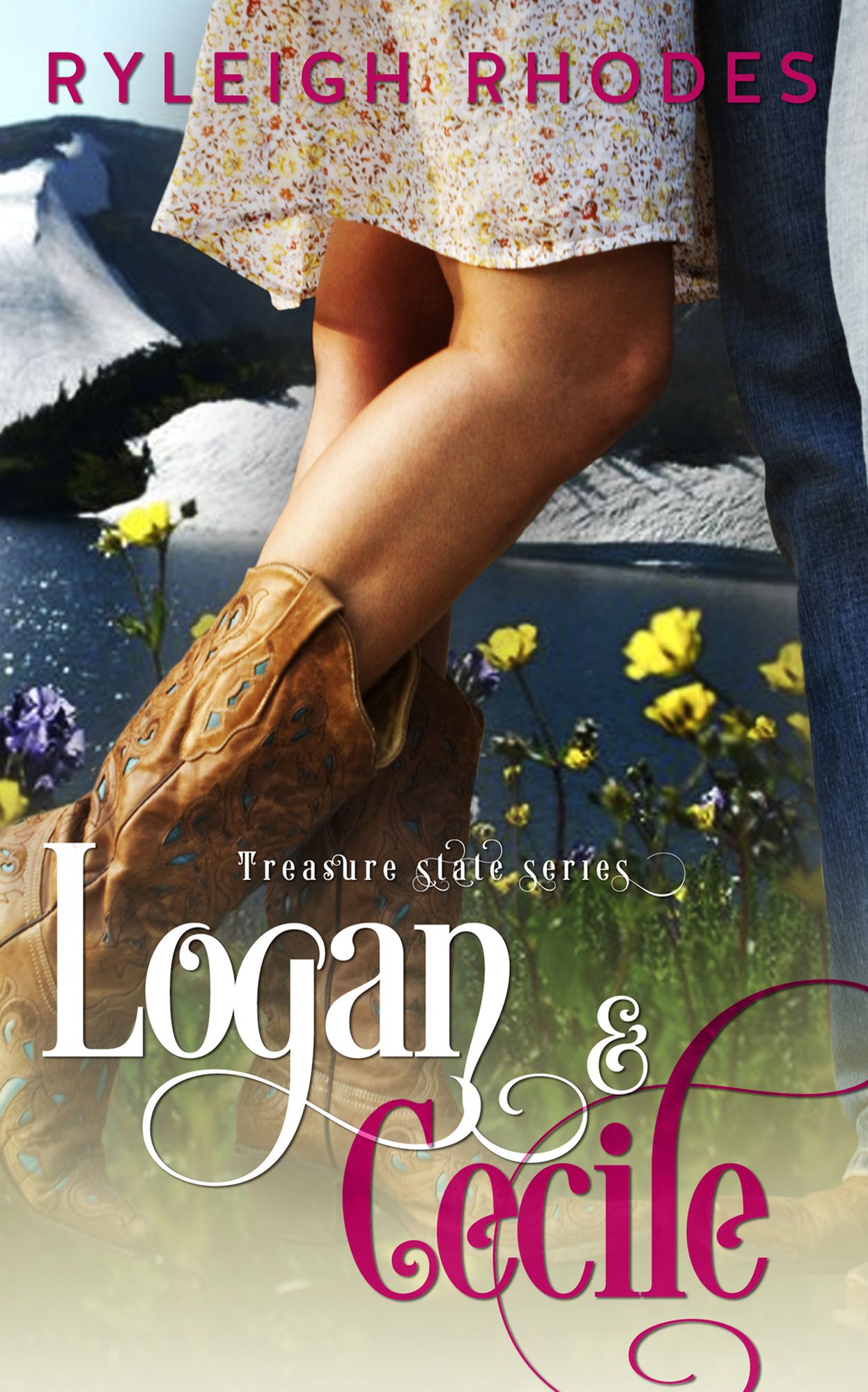 Logan and Cecile (Treasure State Series #1)