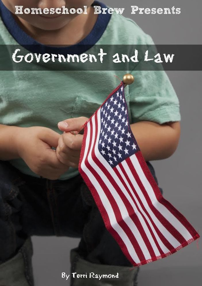 Government and Law (Second Grade Social Science Lesson, Activities, Discussion Questions and Quizzes)