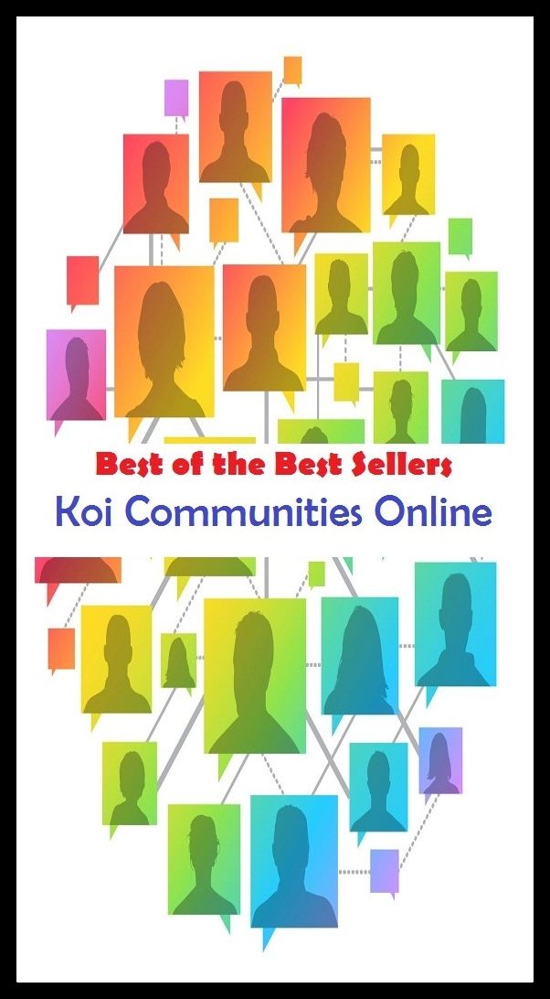 99 Cent Best Seller Koi Communities Online ( networked, wired, accessible, linked, connected, installed, on stream, hooked up, accessible by computer, electronically connected )