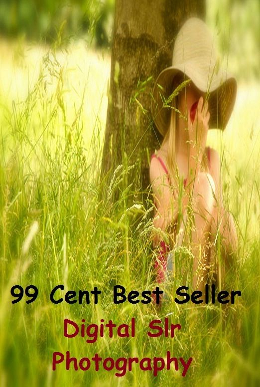 99 cent best seller Digital Slr Photography (slowpoke,slows,slowworm,sloyd,slr,sls,slub,slubbed,slubber,slubberdegullion)