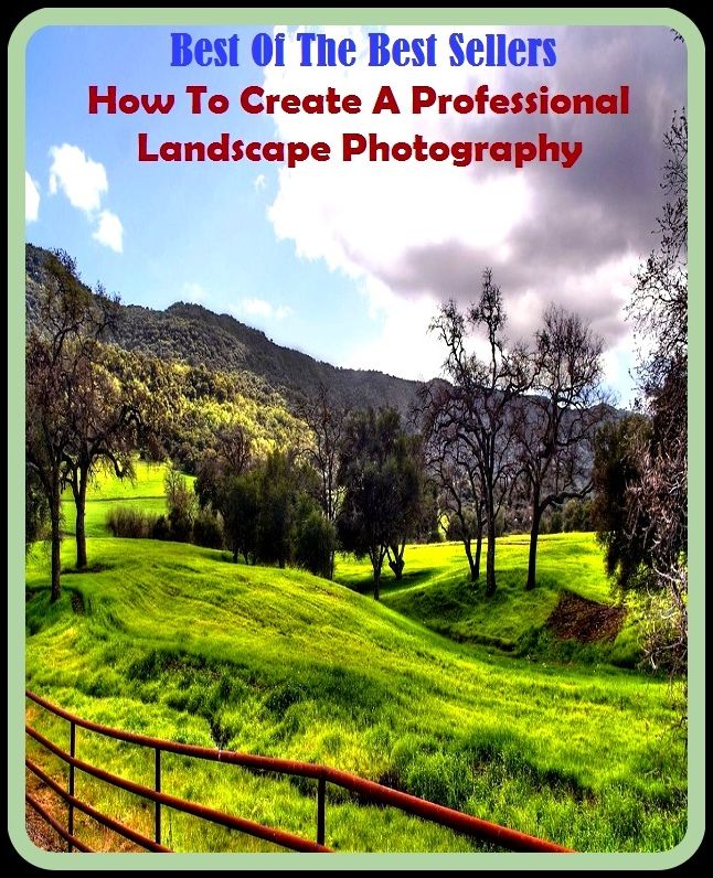 99 cent best seller How To Create A Professional Landscape Photograph ( professional football, professional foul, professional golf, professional golfer, professional impairment, professional life, professional misconduct, professional organization, prof)