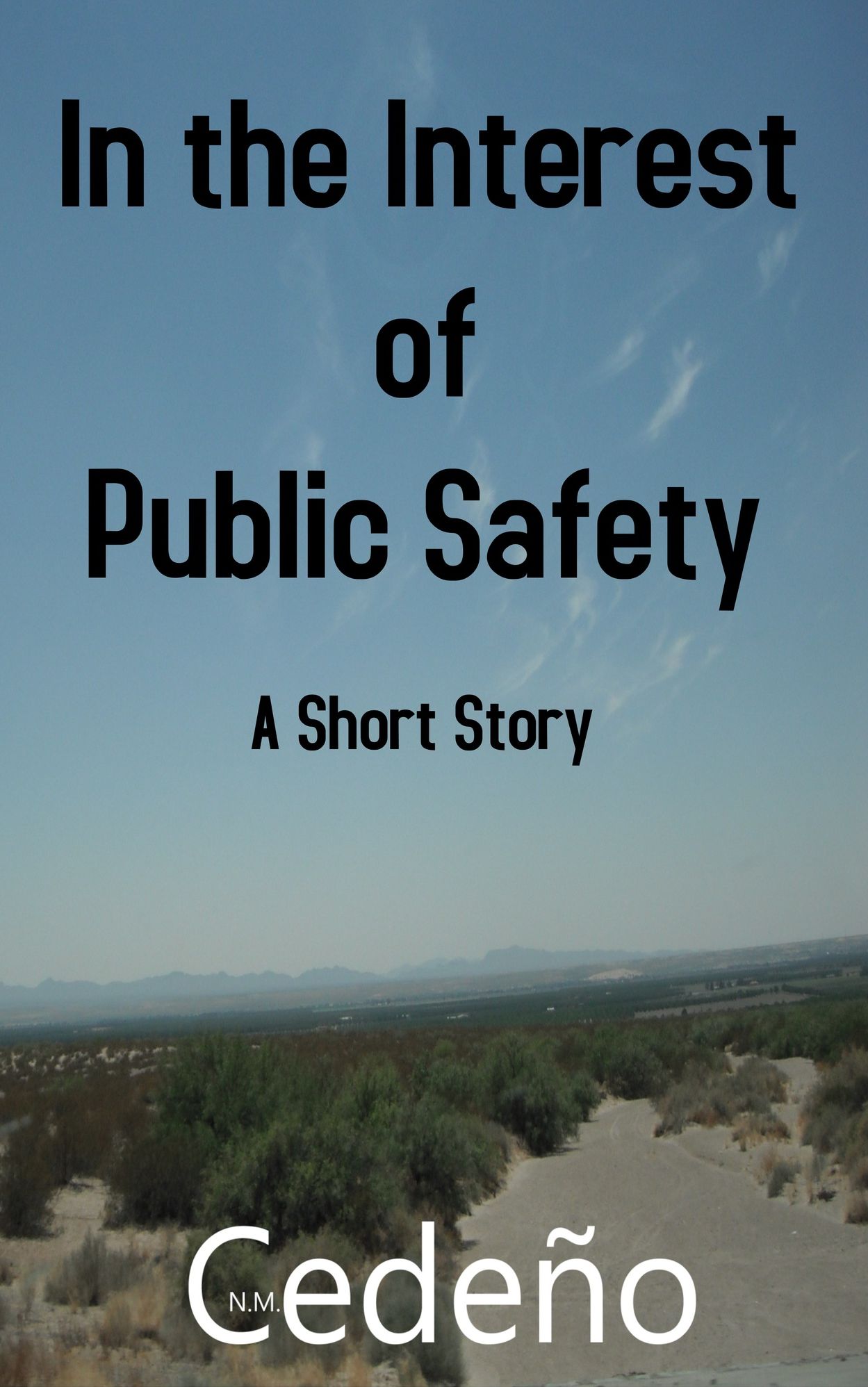 In the Interest of Public Safety