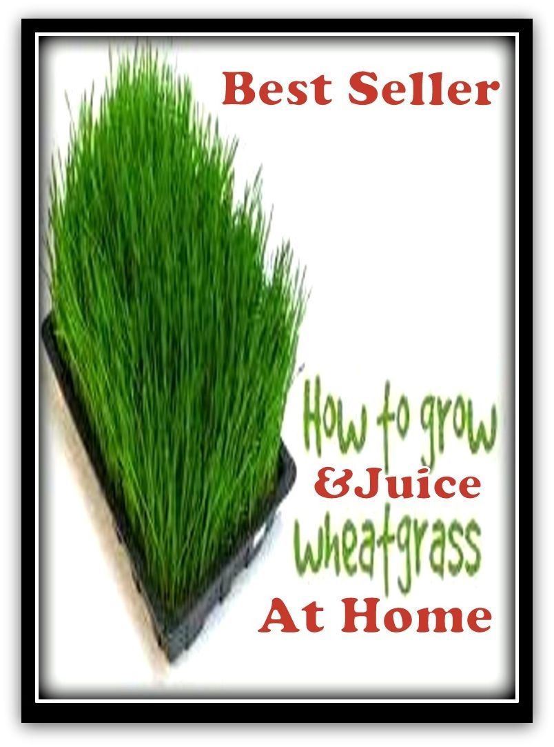 Best Seller How to Grow & Juice Wheatgrass at Home ( Juice, fruit drink, fruit juice, liquid, sap, fluid, grow, produce, cultivate, raise, breed, nature )