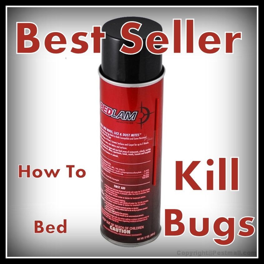 Best Seller How to Kill Bed Bugs ( way, method, means, technique, mode, system, approach, manner, line of attack, routine )