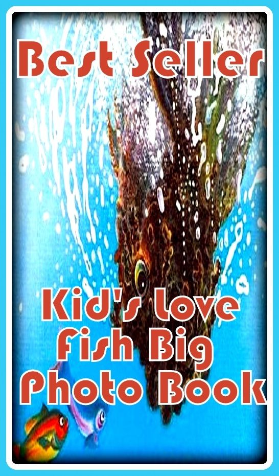 Kids: Best Seller Kids Love Fish Big Photo Book ( sensual, bodily, physical, corporeal, photo, picture, snap, snapshot, image, photograph )