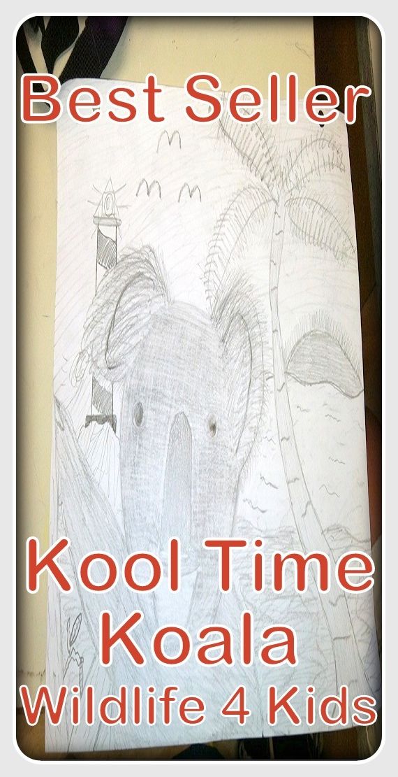 Nature: Kool Time Koala Wildlife 4 Kids ( spiders , crocodile , sea, creature, sea world, underwater world, horse, wild, forest, beast, animals, tiger, elephant, photo, fish, wildlife, ocean, shark, octopus )