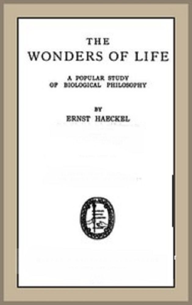 The Wonders of Life
