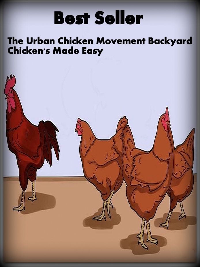 Best Seller The Urban Chicken Movement Backyard Chicken's Made Easy ( urban, city, town, municipal, inner city, metropolitan, romantic )