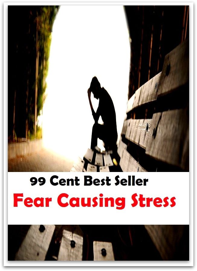 99 Cent Best Seller Fear Causing Stress ( stress, punctuate, strive, tense up, deform, try, sample, essay, filter out, test, try out, sift, reach, sieve, puree, examine, extend, seek, try on )