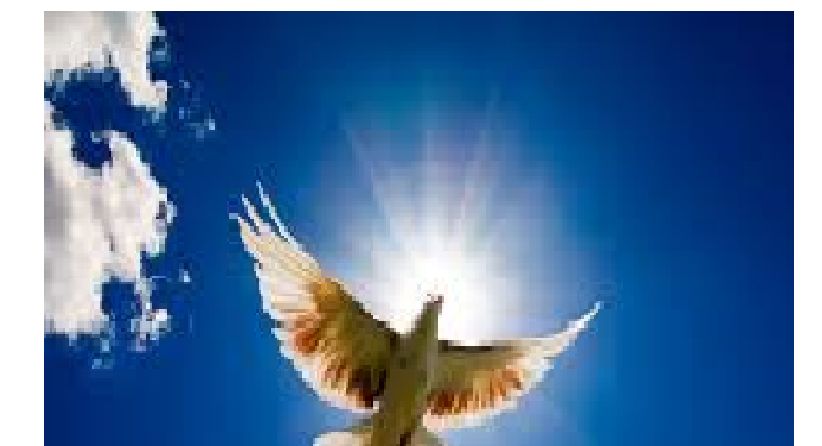 Revised High Calling Under His Wings