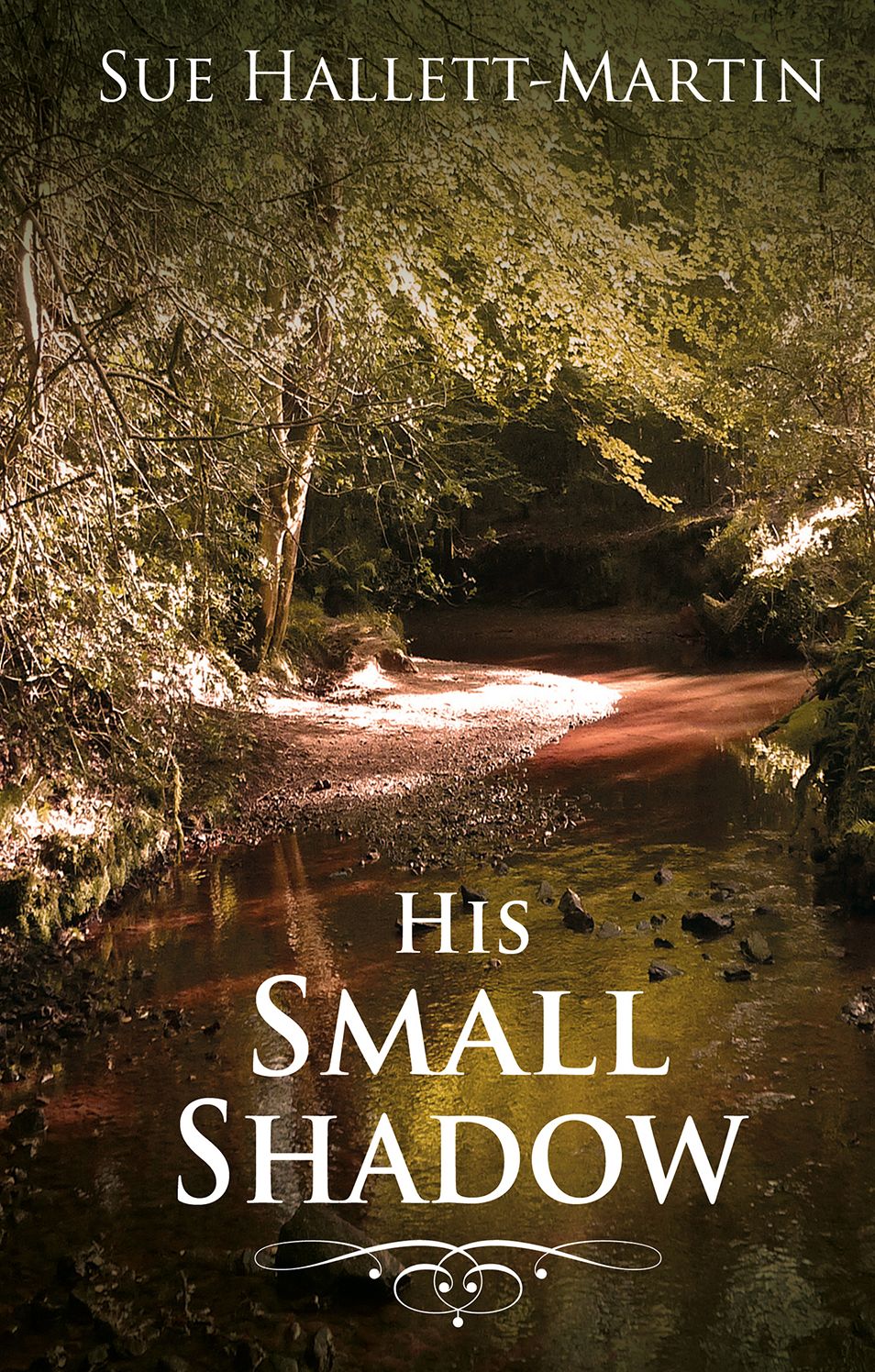 His Small Shadow