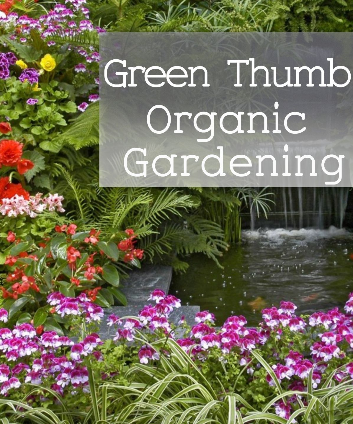 Green thumb Organic Gardening