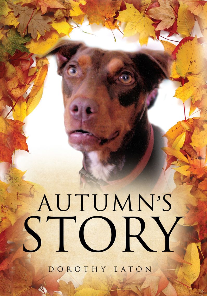 Autumn's Story