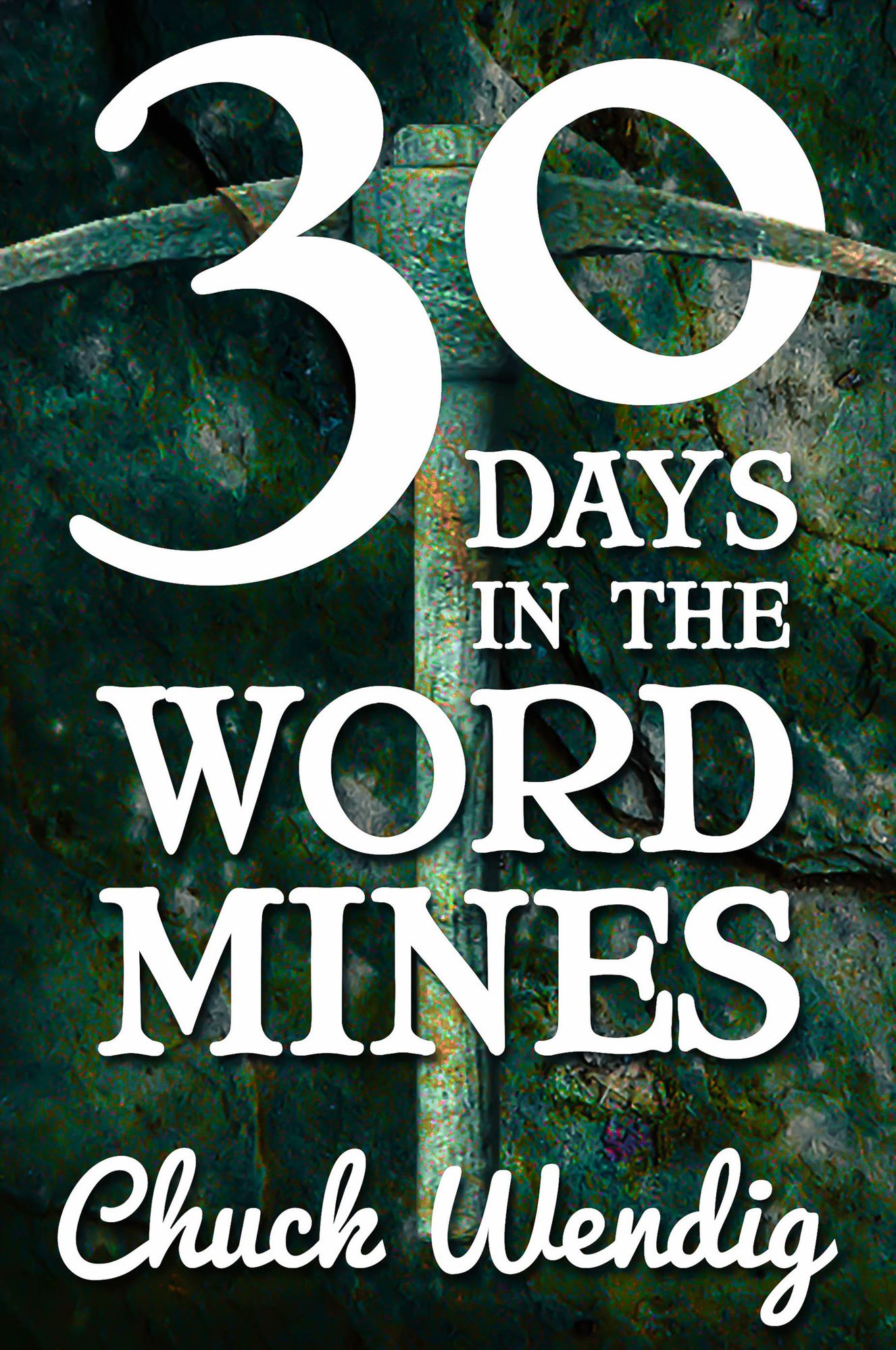 30 Days In The Word Mines