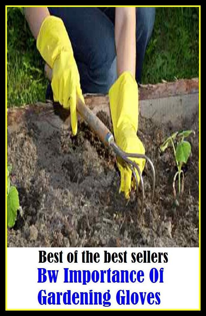 Best of the best sellers Bw Importance Of Gardening Gloves ( home, house, residence, dwelling, gardening, farming, agriculture, crop growing, cultivate, firm , grow, plant, tent, develop )