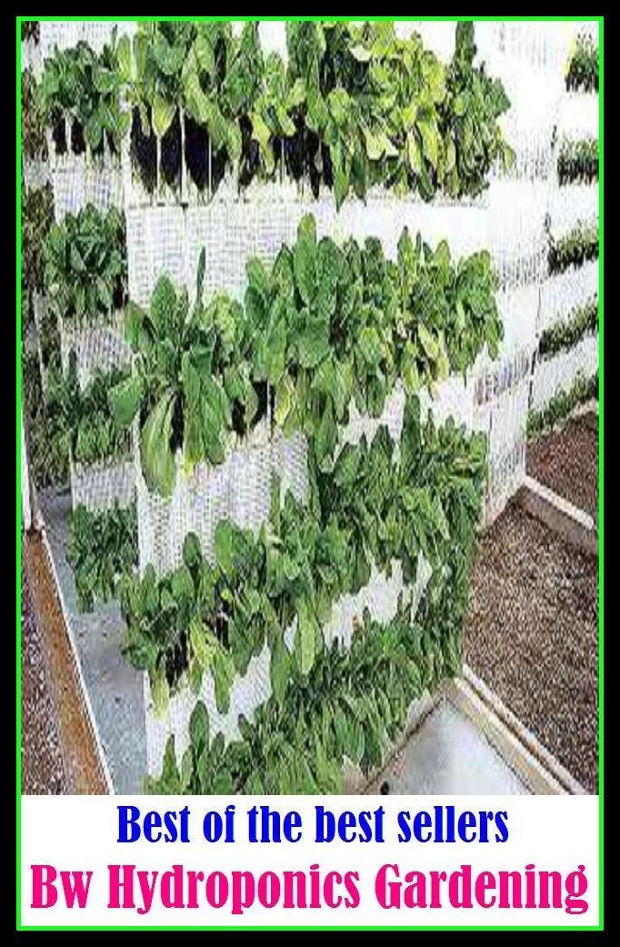 Best of the best sellers Bw Hydroponics Gardening ( home, house, residence, dwelling, gardening, farming, agriculture, crop growing, cultivate, firm , grow, plant, tent, develop )