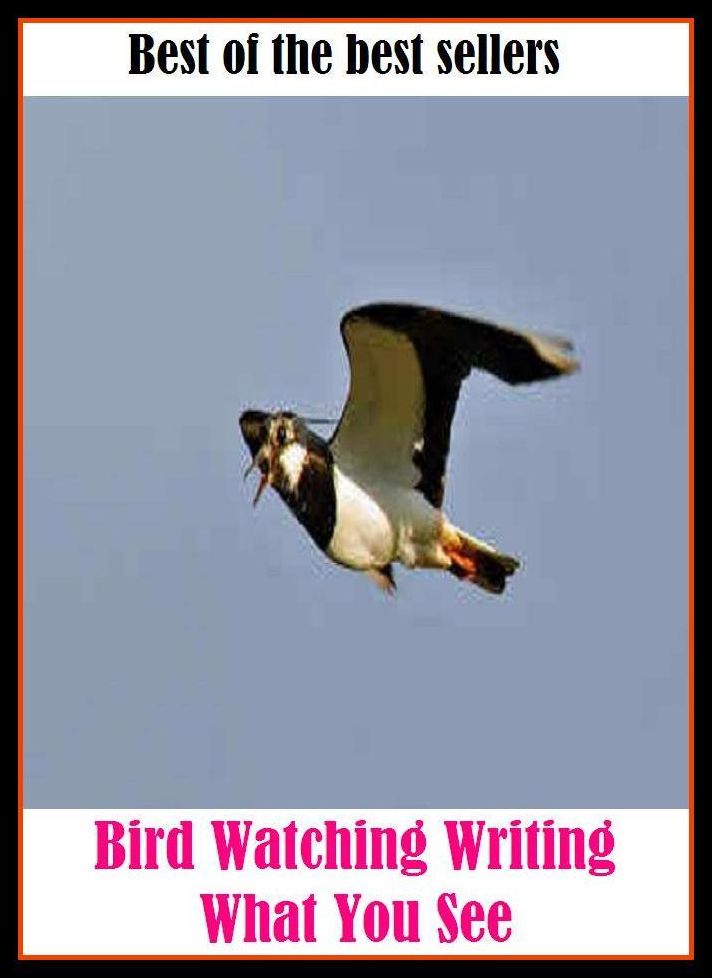 Best of the best sellers Bird Watching Writing What You See ( essay, paper, thesis, dissertation, composition, article, treatise, theory, idea, hypothesis )