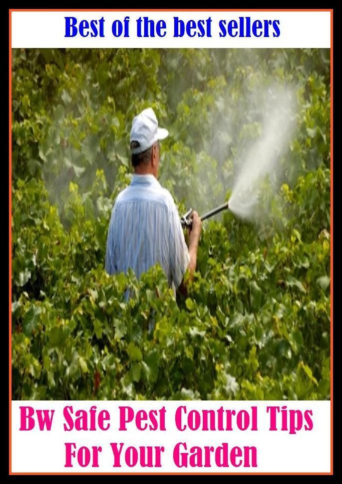 Best of the best sellers Bw Safe Pest Control Tips For Your Garden ( home, house, residence, dwelling, gardening, farming, agriculture, crop growing, cultivate, firm , grow, plant, tent, develop )
