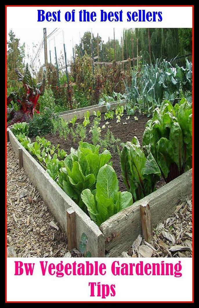 Best of the best sellers Bw Vegetable Gardening Tips ( home, house, residence, dwelling, gardening, farming, agriculture, crop growing, cultivate, firm , grow, plant, tent, develop )