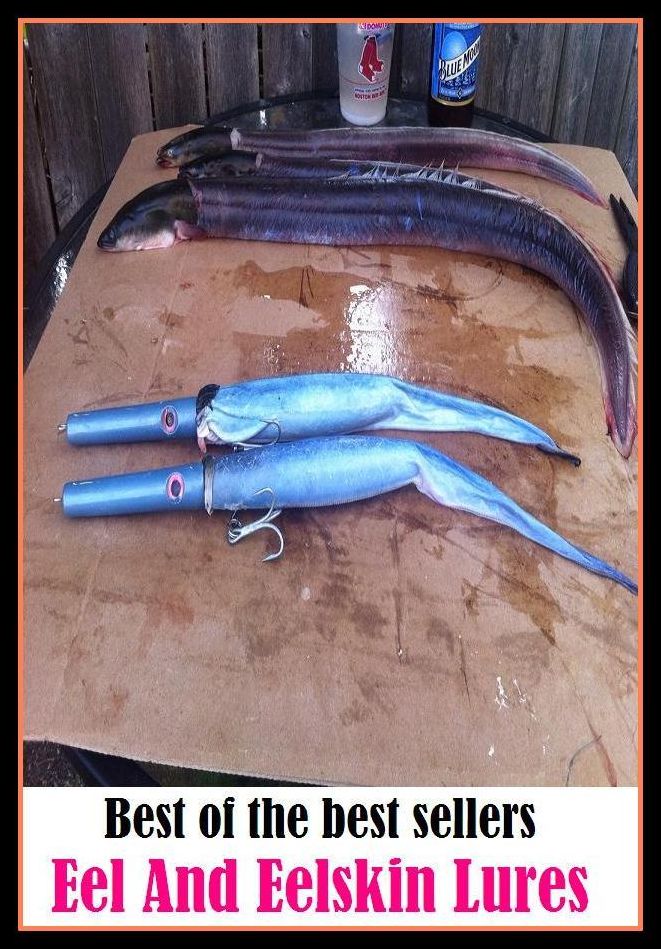 Best of the best sellers Eel And Eelskin Lures ( Theology, Ethics, Thought, Theory, Self Help, Mystery, romance, action, adventure, sci fi, science fiction, drama, horror, thriller, classic, novel, literature, suspense )