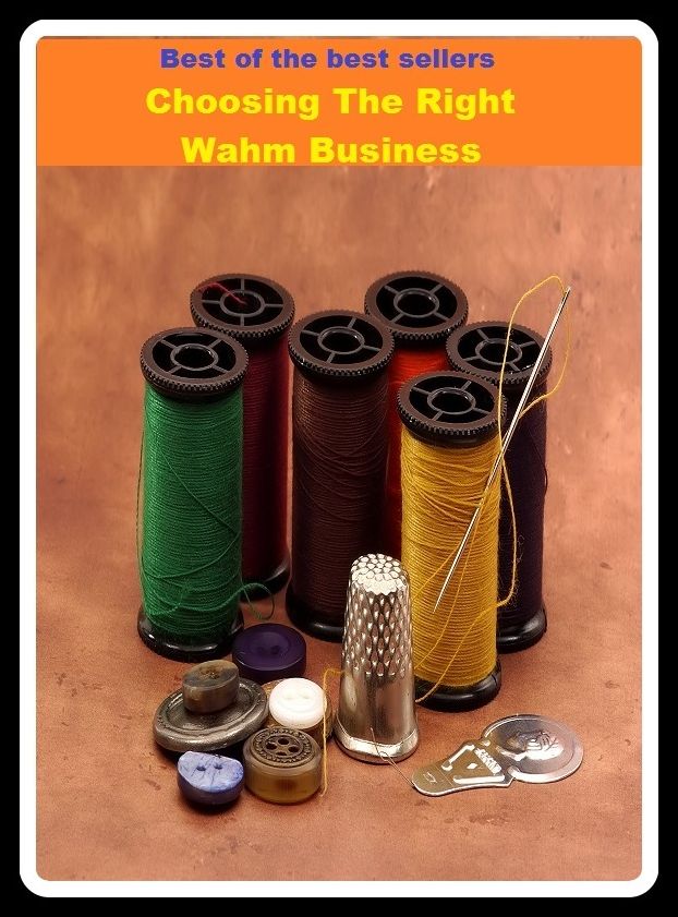 Best of the Best Sellers Choosing The Right Wahm Business ( fake, mesh, net, plexus, web, snare, internet, research, calculating machine, electronics, online, work at home mom, work at home, earn, computer )