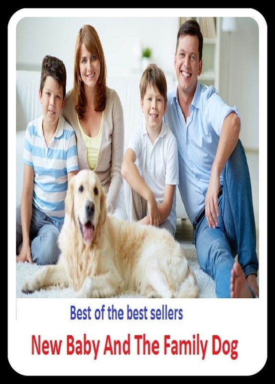 Best of the Best Sellers New Baby And The Family Dog ( new age, new age, new Amsterdam, new arrival, new avenue inc, new balance, new ball, new ballgame, new Redford, new beginning )