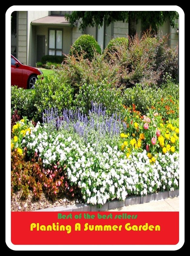 Best of the Best Sellers Planting A Summer Garden (back yard, greenhouse, tarrace, hothouse, plot, bed, nursery, conservatory, oasis, cold frame, field, patio, enclosure, patch)