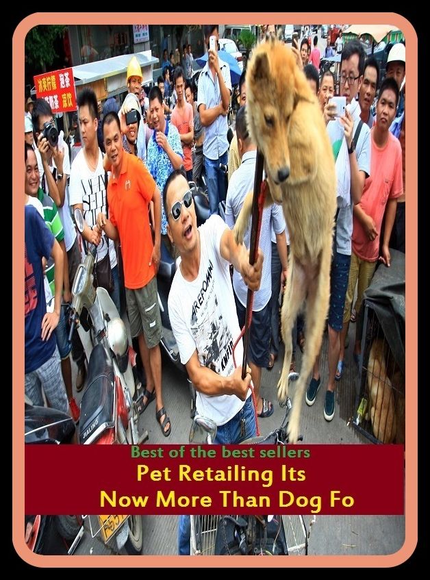 Best of the Best Sellers Pet Retailing Its Now More Than Dog Fo (pet insurance, pet name, pet peeve, pet plasmid, pet project, pet scan, pet scanner, pet shop, pet sitter, pet sitting)