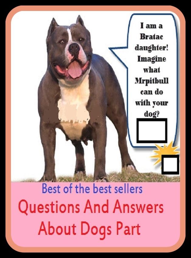 Best of the Best Sellers Questions And Answers About Dogs Part (question less, question mark, questionnaire, questionnaires, questions, quest like, quest man, quest men, quest monger)
