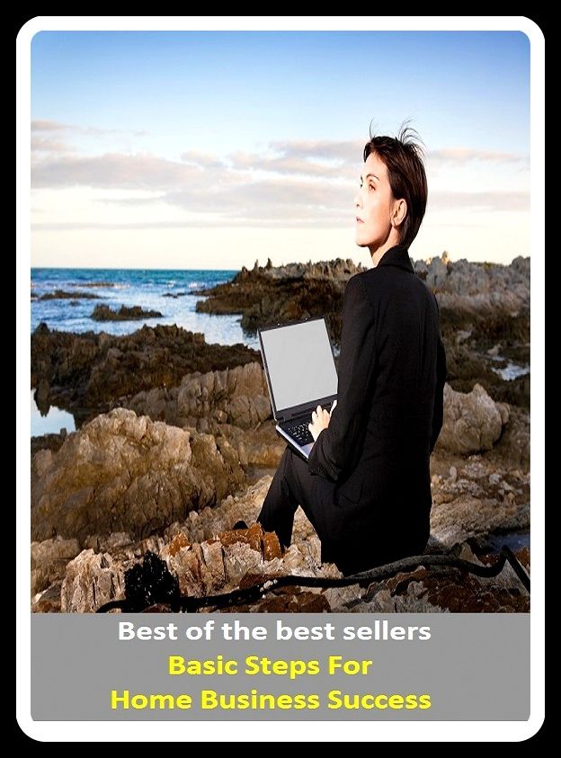 Best of the best sellers Basic Steps For Home Business Success (Employment, field, trade, work, bag, biz, calling, career, craft, dodge, function, game, line, livelihood, occupation, pursuit, racket.)
