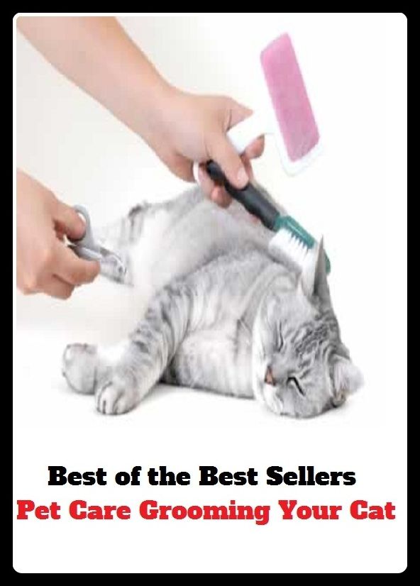 Best of the Best Sellers Pet Care Grooming Your Cat (pestling, pesto, pesto like, peaty, pet, pet door, pet food, pet hate, pet insurance, pet name)
