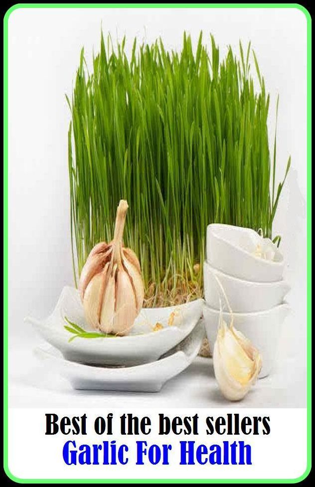 Best of the Best Sellers Garlic For Health ( condition, wholesomeness, euphoria, well-being, fitness, vigorousness, haleness, trim, healthiness, stamina )