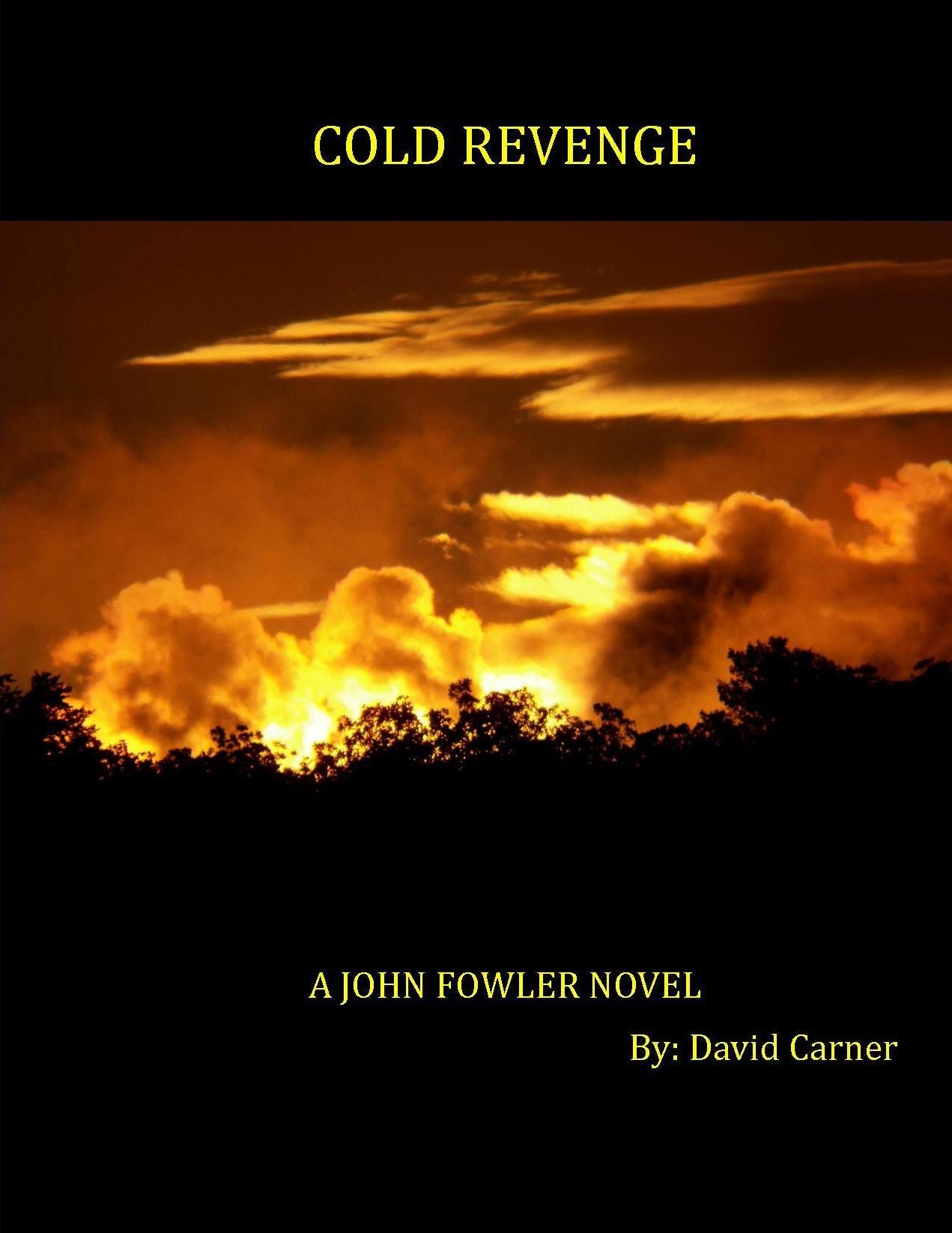 Cold Revenge - A John Fowler Novel