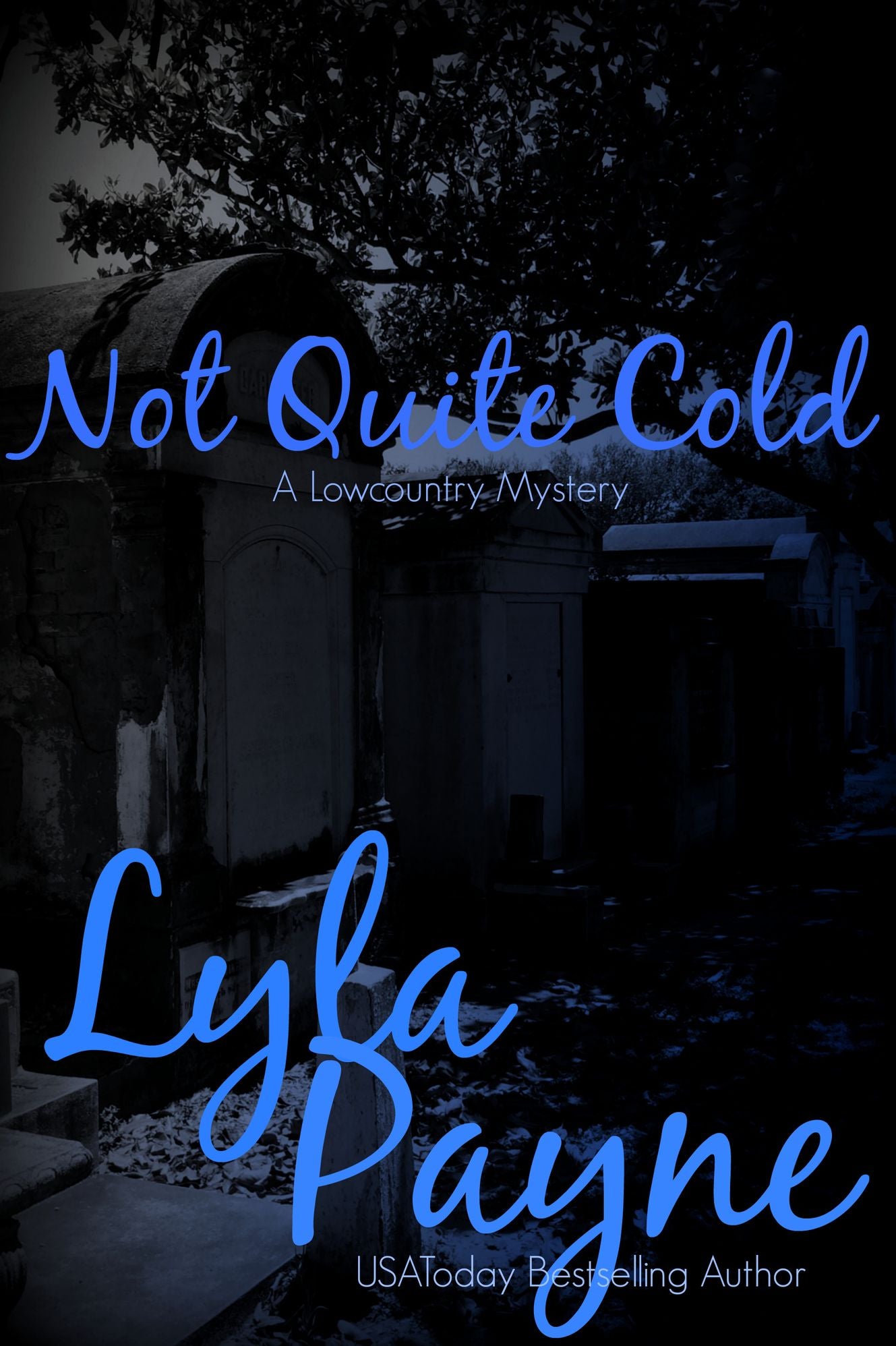 Not Quite Cold (A Lowcountry Mystery)