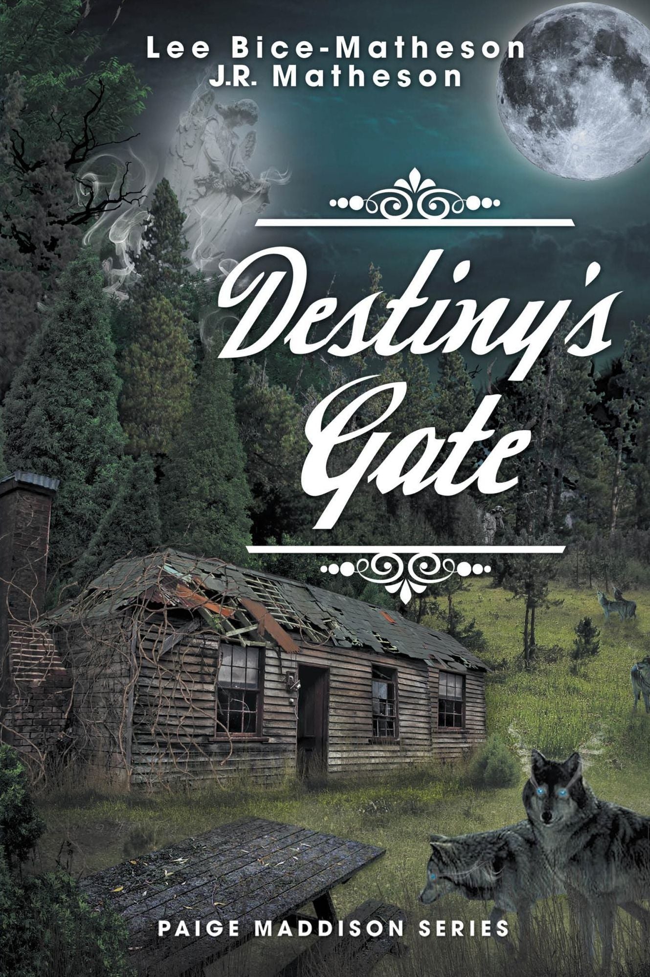 Destiny's Gate: Book Two, Paige Maddison Series